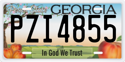 GA license plate PZI4855