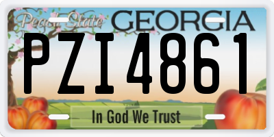GA license plate PZI4861