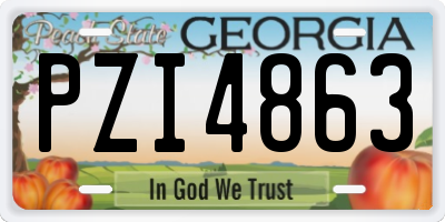 GA license plate PZI4863