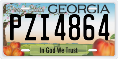 GA license plate PZI4864