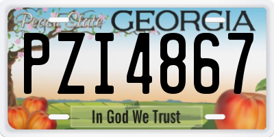GA license plate PZI4867