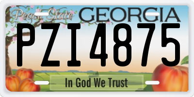 GA license plate PZI4875