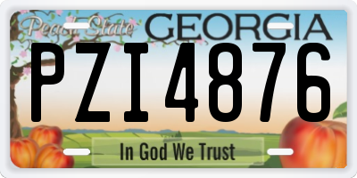 GA license plate PZI4876