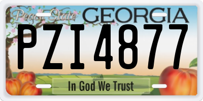 GA license plate PZI4877