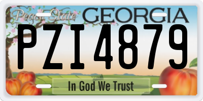 GA license plate PZI4879