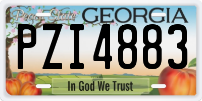 GA license plate PZI4883