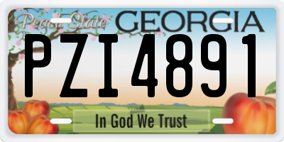 GA license plate PZI4891