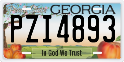GA license plate PZI4893