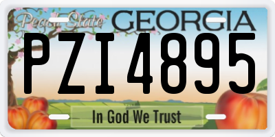 GA license plate PZI4895