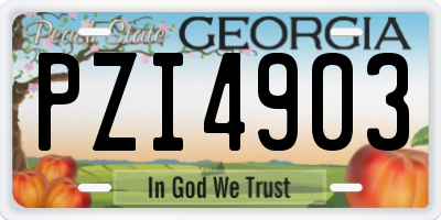 GA license plate PZI4903