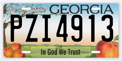 GA license plate PZI4913