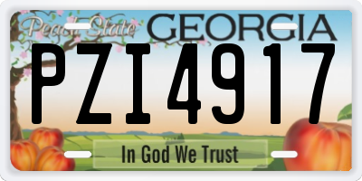 GA license plate PZI4917