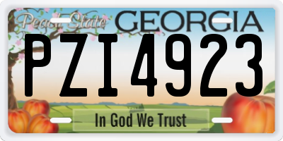 GA license plate PZI4923