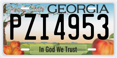 GA license plate PZI4953