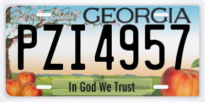 GA license plate PZI4957