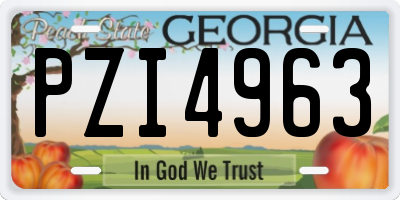 GA license plate PZI4963