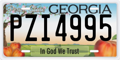 GA license plate PZI4995