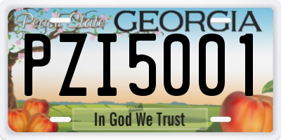 GA license plate PZI5001