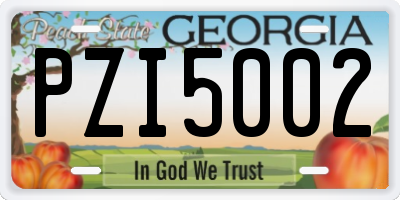 GA license plate PZI5002