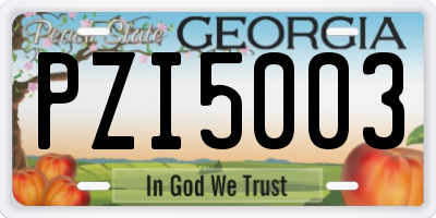 GA license plate PZI5003