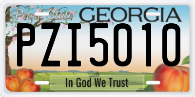 GA license plate PZI5010