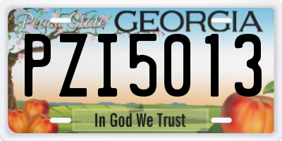 GA license plate PZI5013