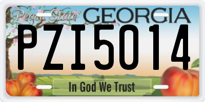 GA license plate PZI5014