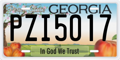 GA license plate PZI5017