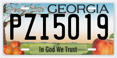 GA license plate PZI5019