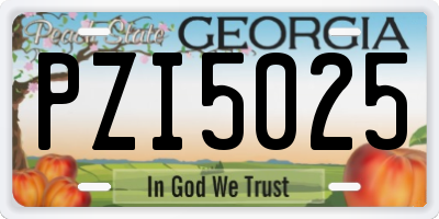 GA license plate PZI5025