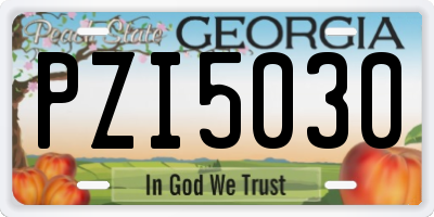 GA license plate PZI5030
