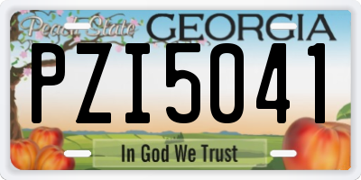 GA license plate PZI5041