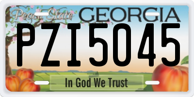 GA license plate PZI5045