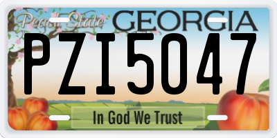 GA license plate PZI5047