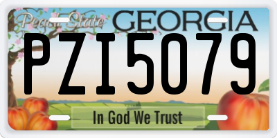 GA license plate PZI5079
