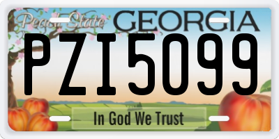 GA license plate PZI5099