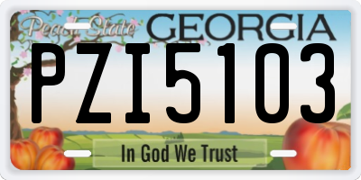 GA license plate PZI5103