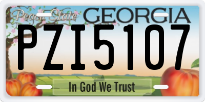 GA license plate PZI5107