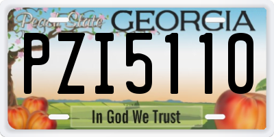 GA license plate PZI5110