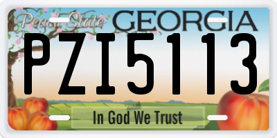 GA license plate PZI5113