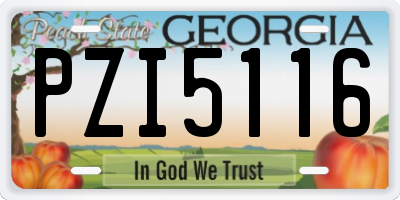 GA license plate PZI5116