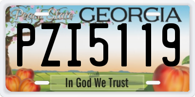 GA license plate PZI5119