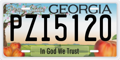 GA license plate PZI5120