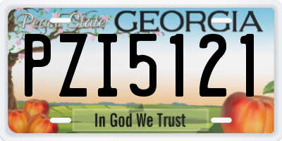 GA license plate PZI5121