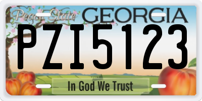 GA license plate PZI5123