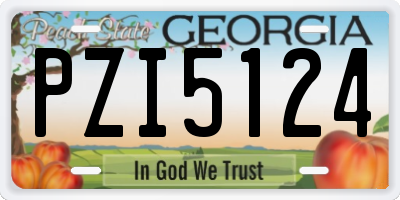 GA license plate PZI5124