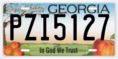 GA license plate PZI5127