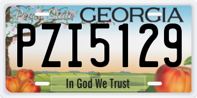GA license plate PZI5129