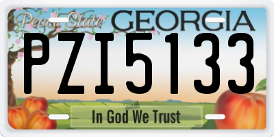 GA license plate PZI5133