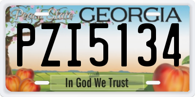GA license plate PZI5134